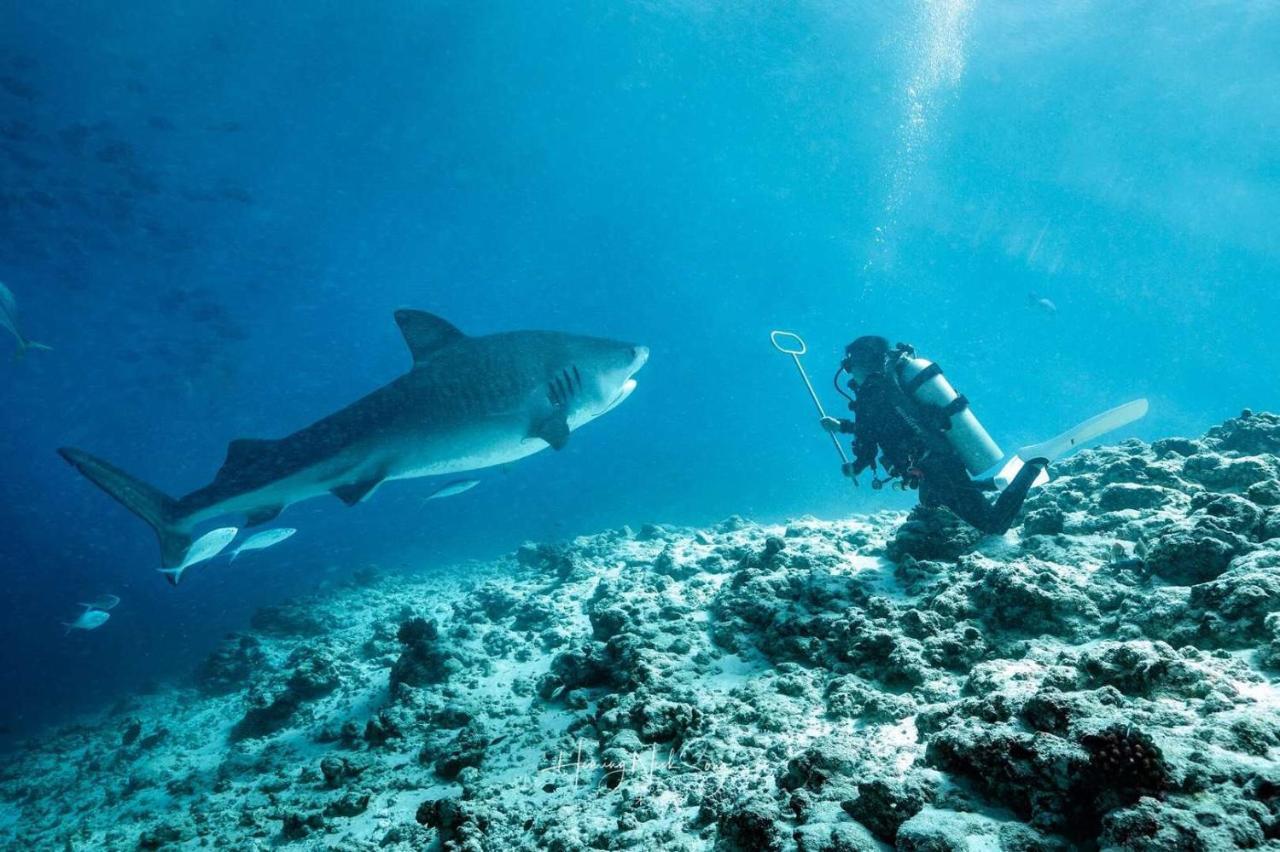 Tiger Shark Residence & Dive Fuvahmulah Exterior photo